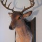 GEMMY Singin Talkin Animated Buck Deer Head Trophy 10Pt Mounted MINT
