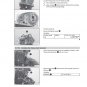 Husqvarna Service Workshop Shop Manual ebook 2020 VITPILEN 701 EU