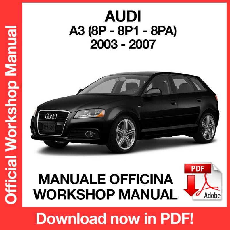 WORKSHOP MANUAL SERVICE REPAIR SERVICE REPAIR AUDI A3 (2003-2007) (EN)