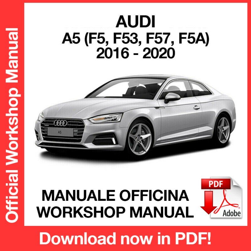 WORKSHOP MANUAL SERVICE REPAIR SERVICE REPAIR AUDI A5 (2016-2020) (EN)