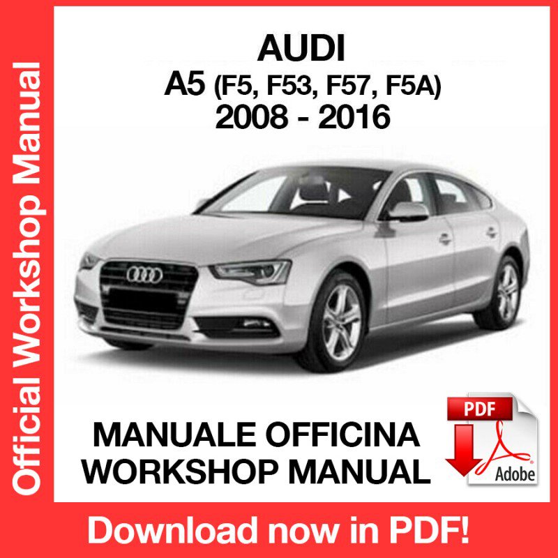 WORKSHOP MANUAL SERVICE REPAIR SERVICE REPAIR AUDI A5 COUPE' (2008-2016) (EN)