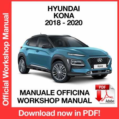 WORKSHOP MANUAL SERVICE REPAIR HYUNDAI KONA (2018-2020) (EN)