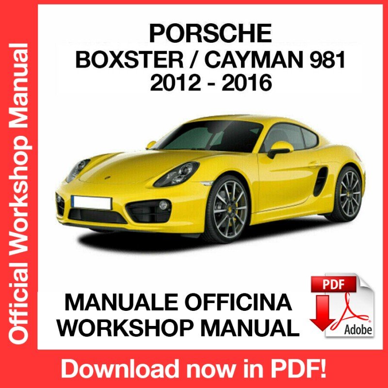 WORKSHOP MANUAL SERVICE REPAIR PORSCHE BOXSTER - CAYMAN 981 (2012-2016) (EN)