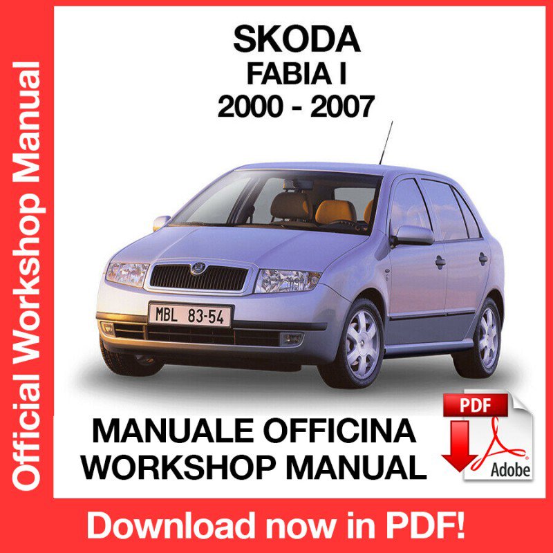 WORKSHOP MANUAL SERVICE REPAIR SKODA FABIA MK1 (2000-2007) (EN)