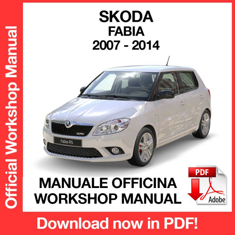 WORKSHOP MANUAL SERVICE REPAIR SKODA FABIA MK2 (2007-2014) (EN)