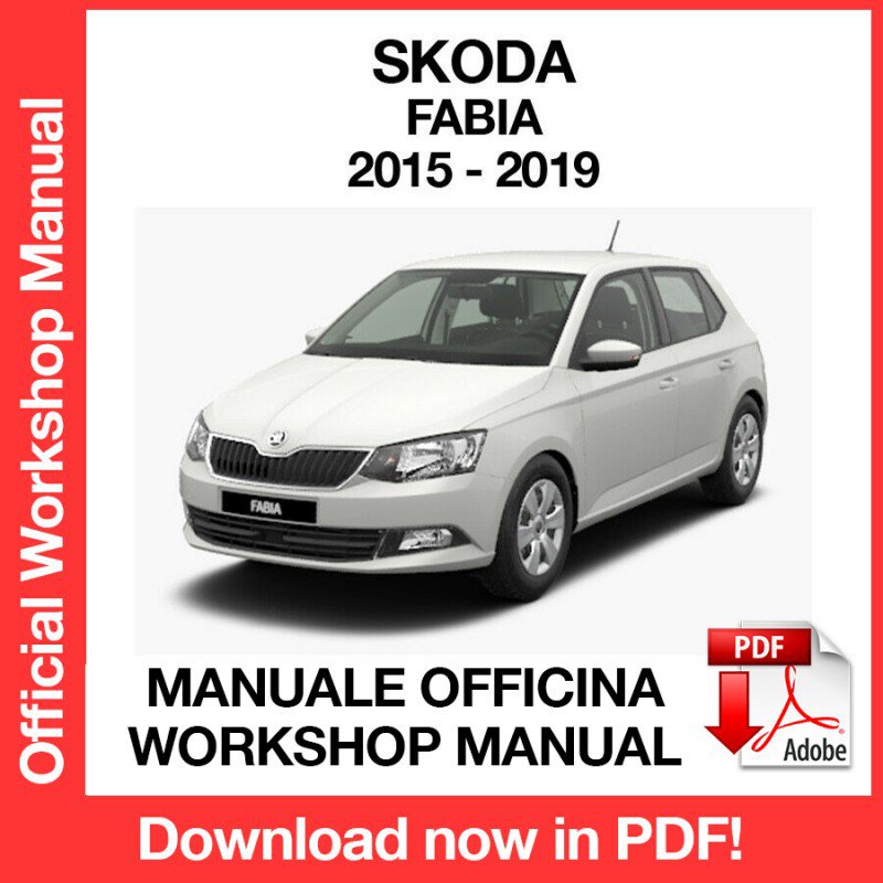 WORKSHOP MANUAL SERVICE REPAIR SKODA FABIA MK3 (2015-2019) (EN)