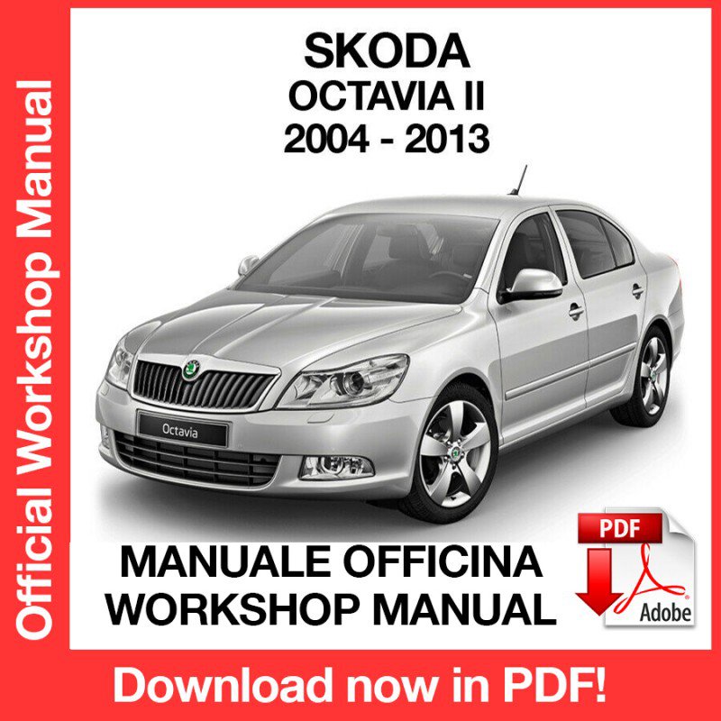WORKSHOP MANUAL SERVICE REPAIR SKODA OCTAVIA MK2 (2004-2013) (EN)