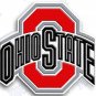 OHIO STATE BUCKEYES  IRON ON EMBROIDERY EMBROIDERED PATCH PATCHES UNIVERSITY