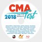 2018 CMA FEST