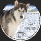 NIKKI WILD DOG OF THE NORTH