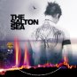 THE SALTON SEA