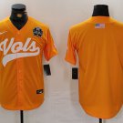 Team Volunteers College World Series Orange Baseball Jerseys