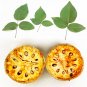 Bael Tree Seeds Aegle Marmelos Bel Edible Beli Fruit Golden Apple Sacred Organic