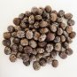 Ceylon Rubber Tree Seeds Hevea Brasiliensis Seeds Para Rubber Sharinga Seeds