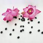 Pink Lotus Flower Nelumbo nucifera Seeds Sacred Lotus Samen Indische Lotusblume