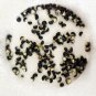 Katuk Sweet Leaf Sauropus Androgynus Seeds Star Gooseberry Rau Bo Ngot Seeds