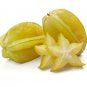 Star Fruit Averrhoa carambola seeds Heirloom Exotic Tropical Ceylon Exotic Tropic
