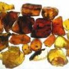 Tibetan Amber Premium Fragrance Oil