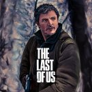 Joel Miller (Pedro Pascal) fanart