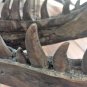 TYRANNOSAURUS SKULL PRE HISTORIC DINOSAUR BONE BIG SCULPTURE HEAD TREX LARGE NEW