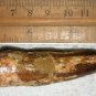 3 INCH LONG SPINOSAURUS TOOTH REAL DINOSAUR TEETH FOSSIL EXTINCT RELIC SPINOSAUR