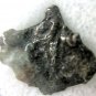 SIKHOTE ALIN IRON NICKEL RUSSIAN METEORITE PIECE ASTEROID SPACE ROCK SHARD NICE
