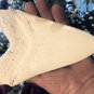 7 INCH LONG MEGALODON TOOTH WHITE REPLICA BIG FOSSIL MEGA HUGE SHARK RELIC MEG