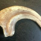 9 INCH RAPTOR CLAW JURASSIC DINOSAUR FOSSIL BONE REPLICA TALON RELIC UTAHRAPTOR
