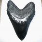 6 INCH LONG MEGALODON TOOTH REPLICA BIG FOSSIL GIANT RELIC TEETH HUGE SHARK NEW