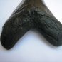 6 INCH LONG MEGALODON TOOTH REPLICA BIG FOSSIL GIANT RELIC TEETH HUGE SHARK NEW