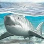 PALAEOCARCHARODON SHARK TOOTH REAL FOSSIL GREAT WHITE PYGMY EXTINCT SERRATED NEW