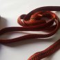 Galon Ribbon Sewing Trim Lace Passementerie Old English Brick Braided Finishes