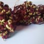 Handmade Moroccan Knots Ball Tie Buttons Sewing 1cm/1cm 100 Pcs Red Wine
