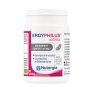 Ergyphilus intima NUTERGIA - 60 Caps - Probiotic for urinary comfort