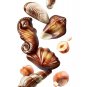 Guylian Belgian Chocolate Gift Box Sea Shell Shaped Milk Chocolates 250g/8.82 oz