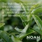 NOAH Yal Filler Hyaluronic Acid Serum - Travel Hair Serum, 20 ml
