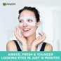 GARNIER Coconut Water and Hyaluronic Acid Hydra Bomb Eye Serum Mask 6G
