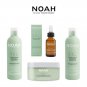 NOAH Yal Thyme + Hyaluronic Acid Shampoo and Conditioner Set - 250 ml / 5 Fl.Oz