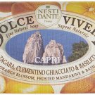 Nesti Dante Dolce Vivere Capri Bar Soap 250 Grams