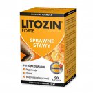 Litozin Forte Smooth joints, 90 capsules