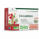 Phyto Aromicell’r Circulation 20x10ml - LES 3 CHENES Phyto Aromicell’r Circulation 20x10ml - LES 3 CHENES