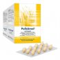 Pollstimol hard capsules, 200 pcs - Herbal Therapy for Prostate Diseases