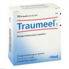 Traumeel S Liquid Dilution, 10 x 2,2ml