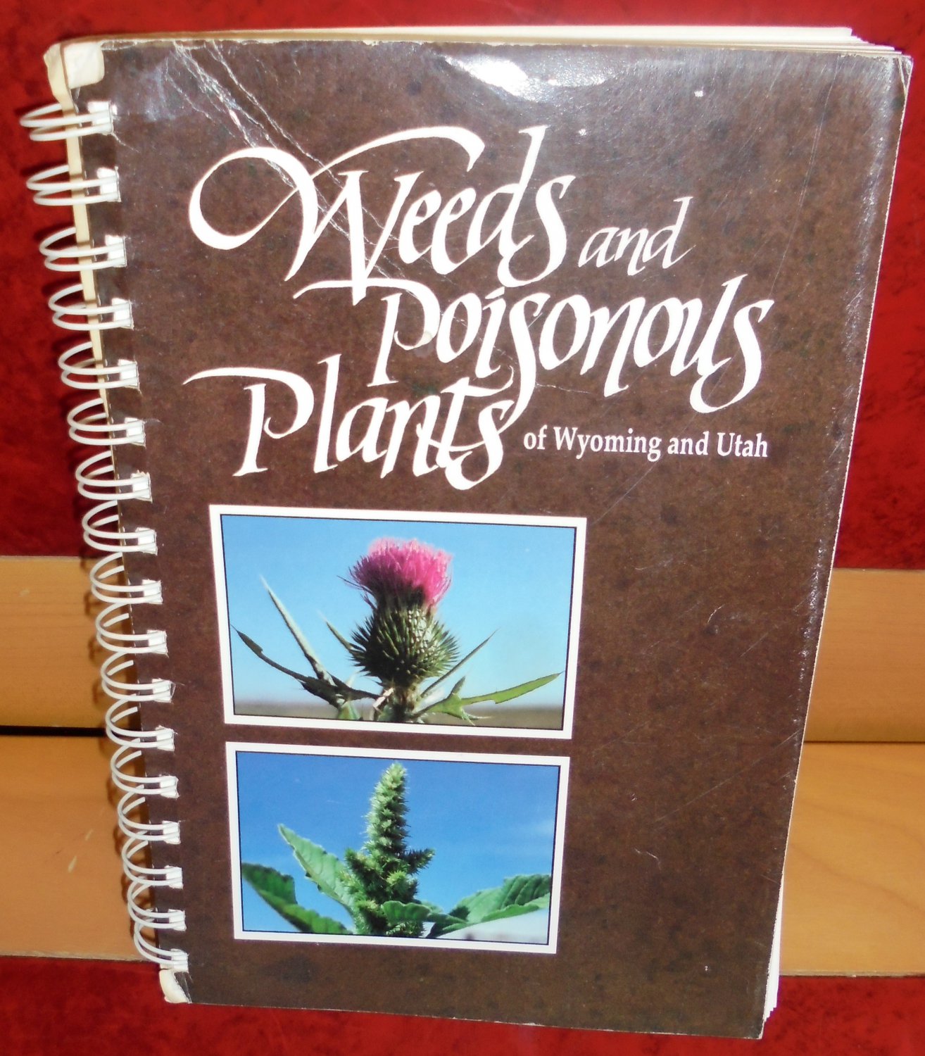 Weeds and Poisonous Plants of Wyoming and Utah 1987 Tom D Whitson Research Rpt