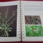Weeds and Poisonous Plants of Wyoming and Utah 1987 Tom D Whitson Research Rpt
