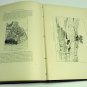 8th Report US Geological Survey 1886-87 Powell OH IN MA Fossils pt2