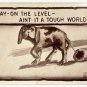 Postcard - "Say - On The Level - Aint It A Tough World?" Dog's Life, H.I.R. 1910
