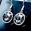 Color Shifting Black Diamond Swarovski Crystal Dangle Earrings Color Shifting Black Diamond Swarovski Crystal Dangle Earrings