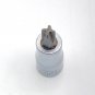 Craftsman 1/4" Drive PH3 Phillips Bit Socket =V=