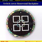 Bruce Wei, Switch cover Backplate for Electric Guitar ( BP28 )